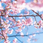 アッキーナと濱口の熱愛を今さら知った件